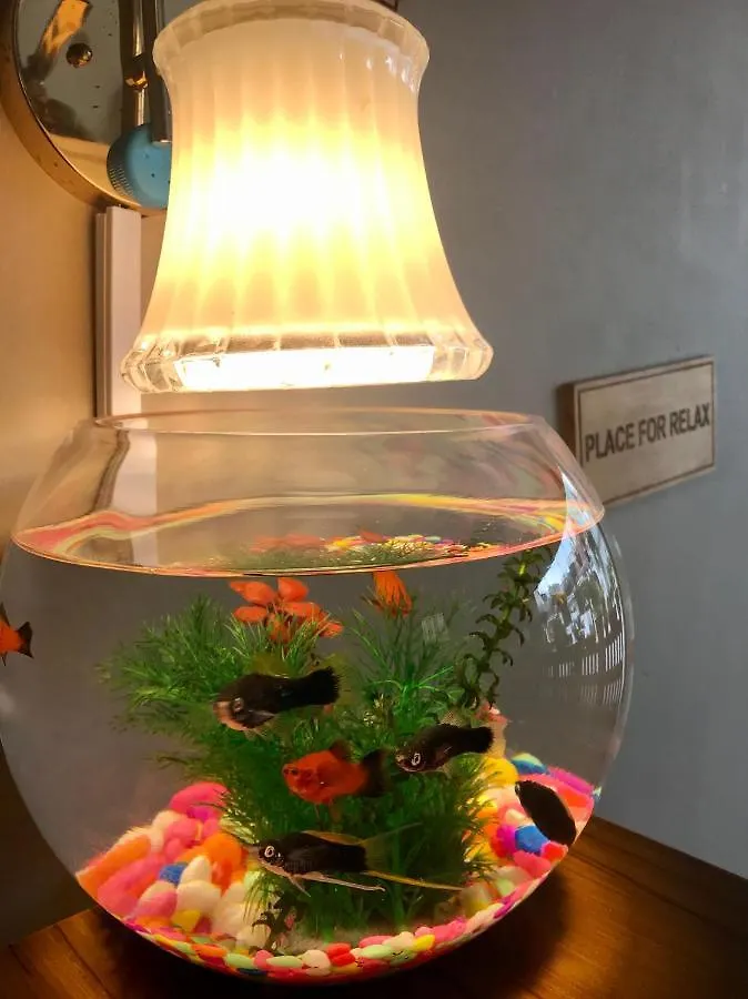 Oyo Motelvip Kolombo 0*,  Šrí Lanka